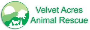 Velvet Acres Animal Rescue